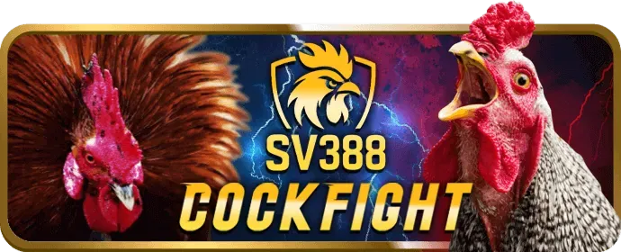 Phân tích lô rơi và lô gan tại 88t
